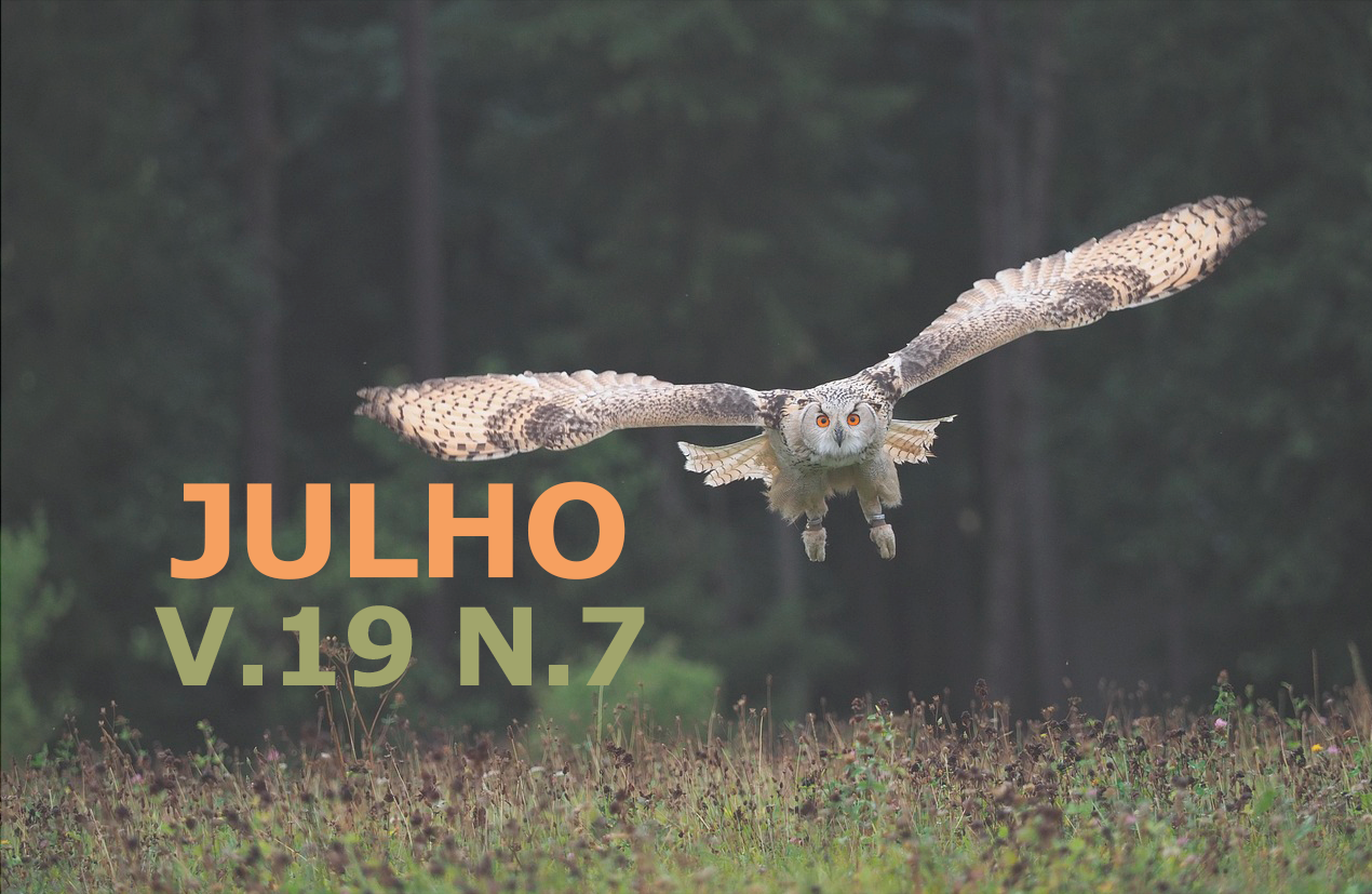 					Visualizar v. 19 n. 07 (2025): Julho
				
