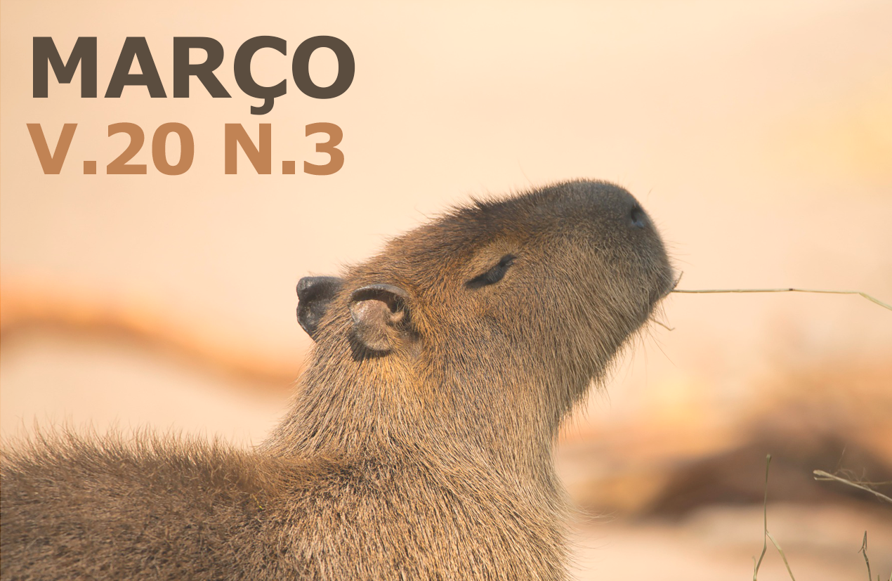 					Visualizar v. 20 n. 03 (2026): Março
				