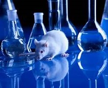Fonte: https://www.veterinaria-atual.pt/na-clinica/uso-animais-experiencias-cientificas-debate-continua