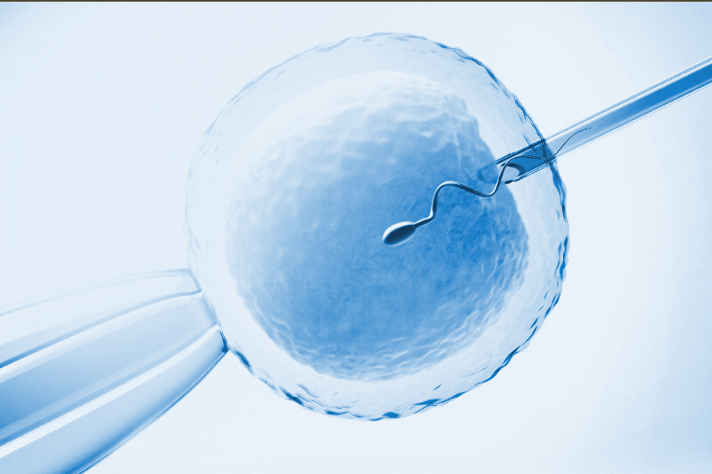 fertilidadevida.com.br